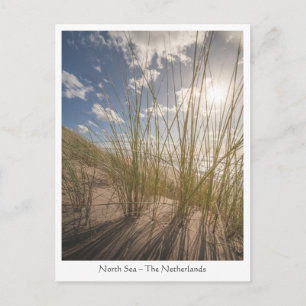 Beach and Sun Nature Photo Postcard