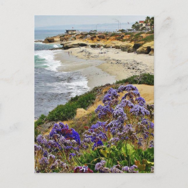Beach At La Jolla Cove Postcard (Front)