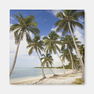 Beach at Punta Cana Magnet
