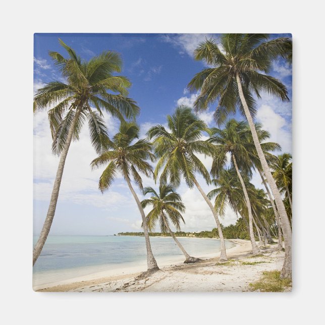 Beach at Punta Cana Magnet (Front)