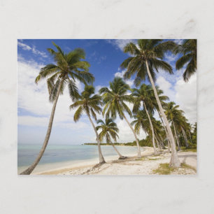 Beach at Punta Cana Postcard