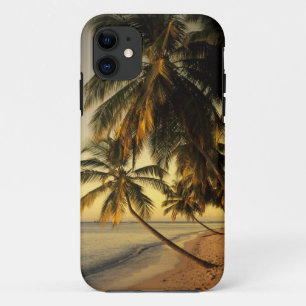 Beach at sunset, Trinidad iPhone 11 Case