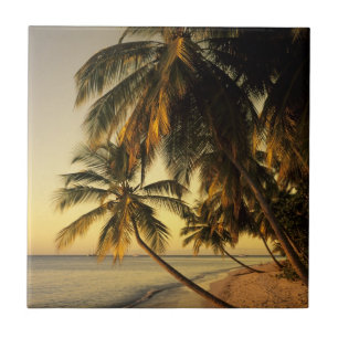 Beach at sunset, Trinidad Ceramic Tile