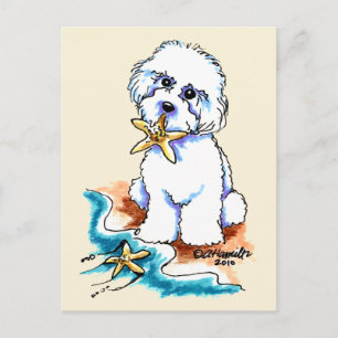 Beach Babe Bichon Frise Postcard