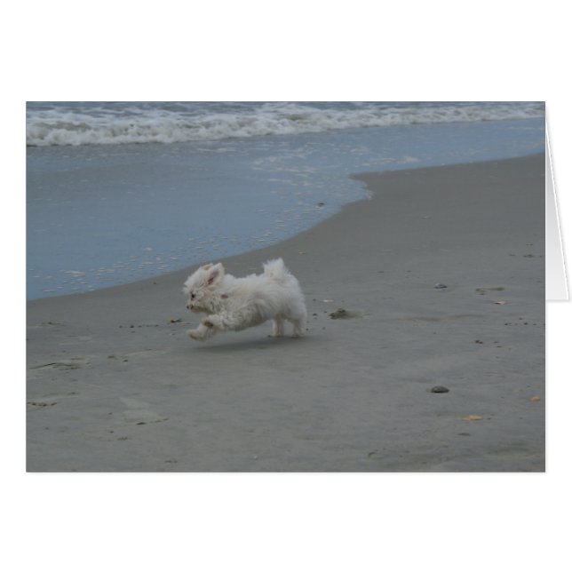 Beach Baby (Front Horizontal)