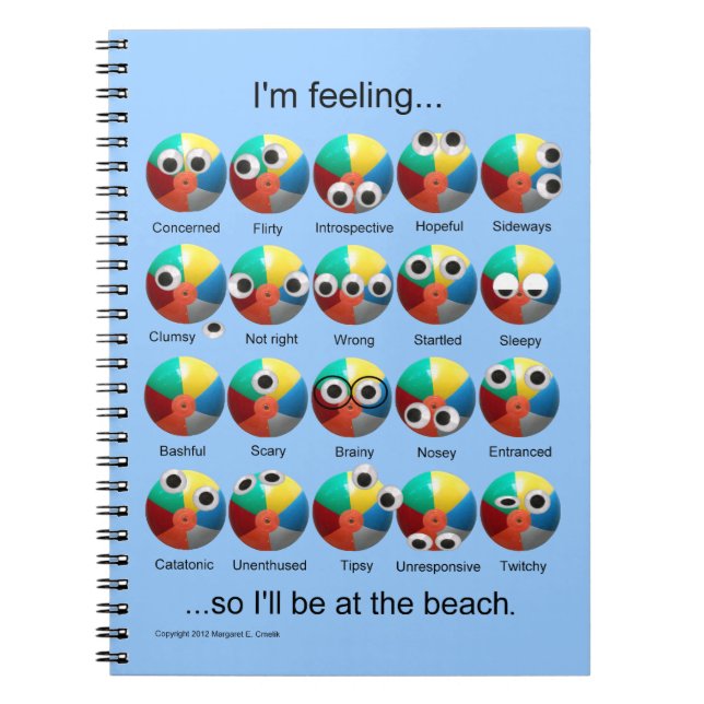 Beach Ball Emotions Notebook (Front)