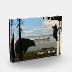 Beach Bears Photo Block