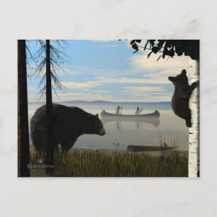 Beach Bears Postcard