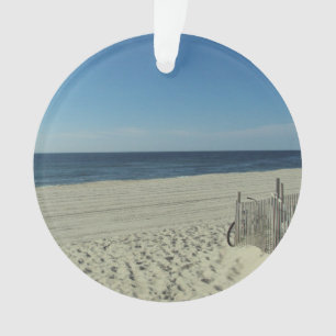 Beach Beauty Ornament