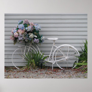 Beach Bicycle Poster