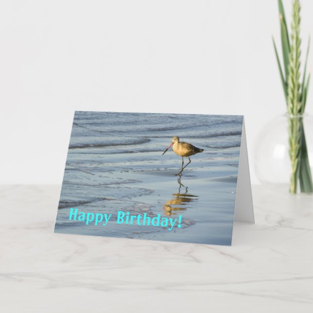 Beach Bird Happy Birthday 2 Card (Front)
