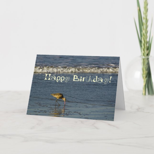 Beach Bird Happy Birthday 4 Card (Front)