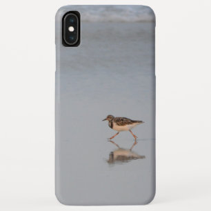 Beach Bird Photo iPhone XS Max Case