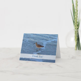 Beach Bird Thank You Notes