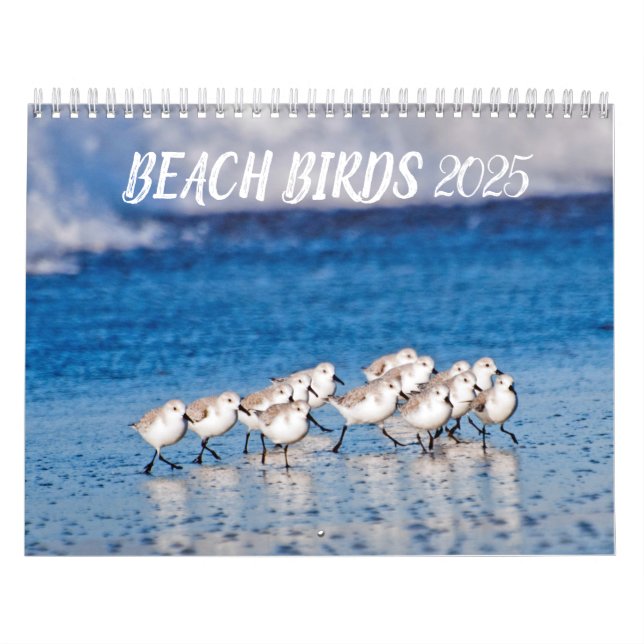 Beach Birds 2025 Calendar (Cover)