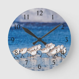 Beach Birds by the Ocean Round Clock