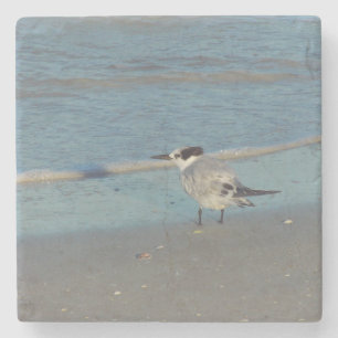 Beach Birds Coaster
