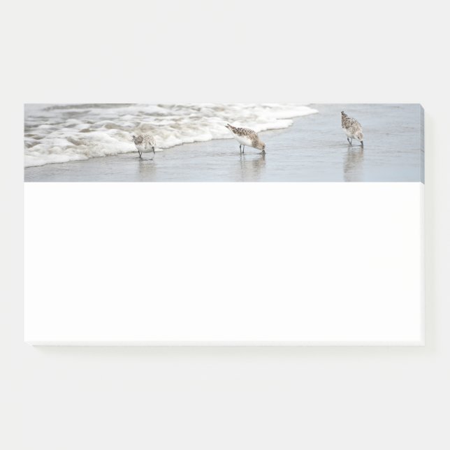 Beach Birds in the Surf 10x6 Notes (Front)