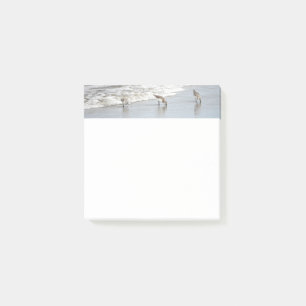 Beach Birds in the Surf 3x3 Notes