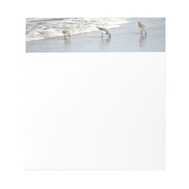 Beach Birds in the Surf Notes (Front)