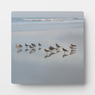 Beach Birds Ocean Waves Nature Wildlife Shorebirds Plaque
