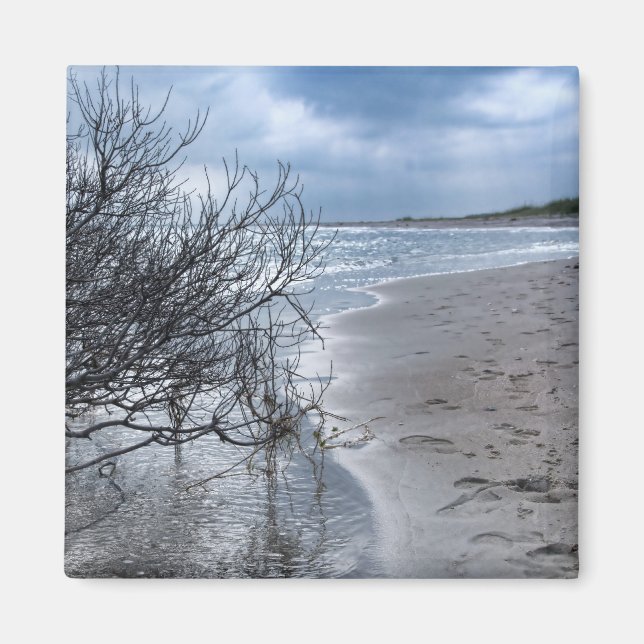 Beach Branch Magnet (Front)