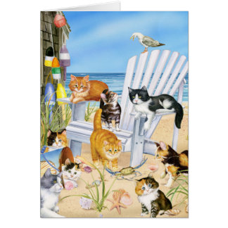Beach Bum Kitties!