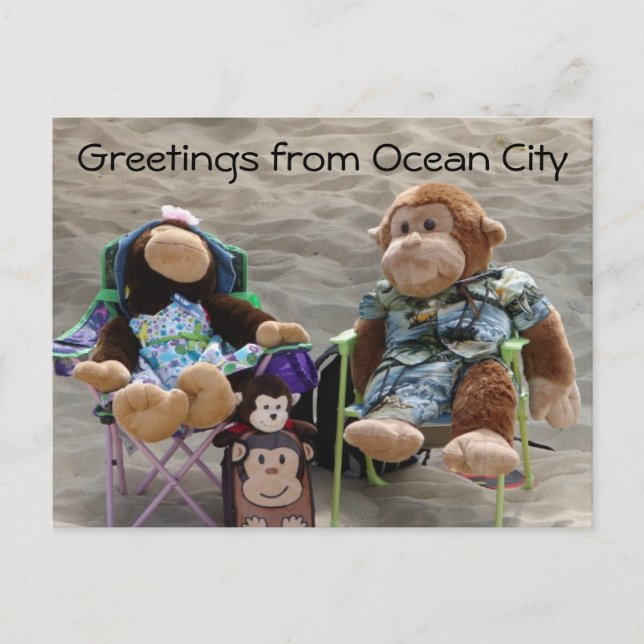 Beach Bum Monkeys Postcard (Front)