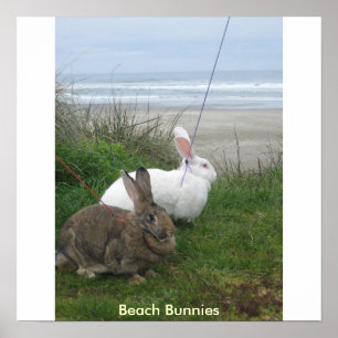 Beach Bunnies Poster - Customised