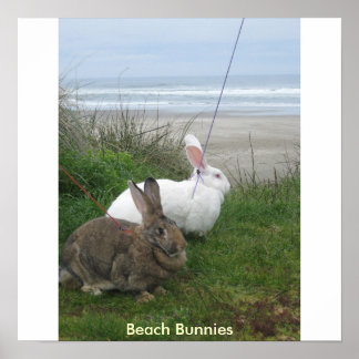 Beach Bunnies Poster - Customised