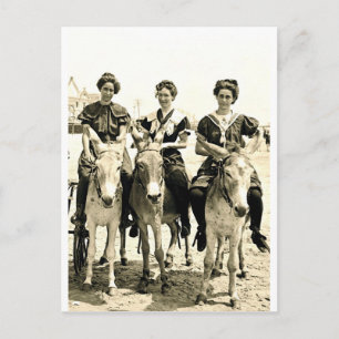 Beach Burros Postcard