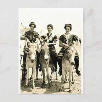 Beach Burros Postcard