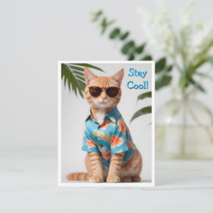 Beach Cat Wearing Sunglasses Greeting Card