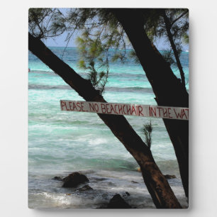 Beach Chairs Rum Point Grand Cayman Plaque
