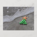 Beach Chic Christmas Postcard<br><div class="desc">Christmas isn't all about the snow! Holidays at the beach are especially festive when greeted by this Beach Chic Christmas postcard.</div>