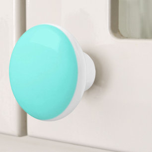 beach chic turquoise aqua Robins Egg Blue Ceramic Knob