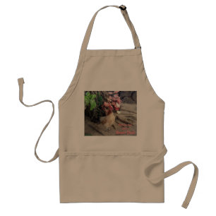 Beach Chick Standard Apron