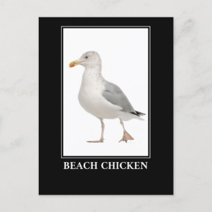 Beach Chicken – Seagull Gull Humour Postcard