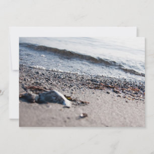 Beach close up