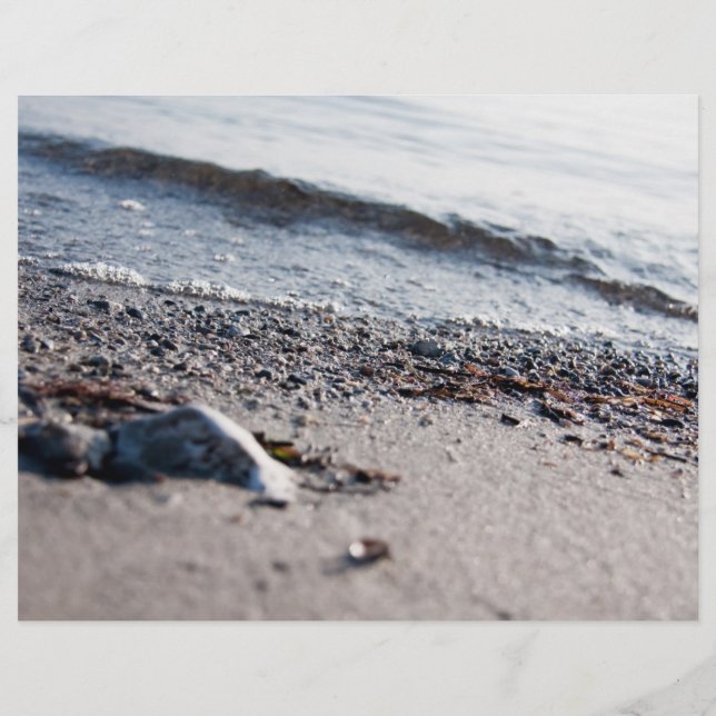 Beach close up flyer (Back)