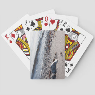 Beach close up playing cards