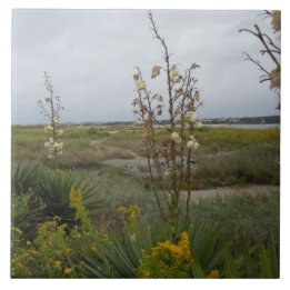 Beach Clouds and Wildflowers - Oak Island, NC Ceramic Tile