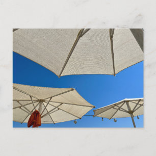 Beach Club Parasols  Postcard