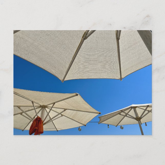 Beach Club Parasols  Postcard (Front)
