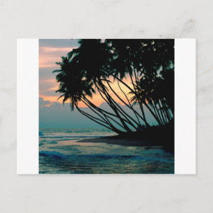 Beach Colombo Sri Lanka Postcard