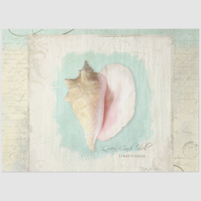 Beach Conch Sea Shell Blue Watercolor Decoupage Tissue Paper (Front)