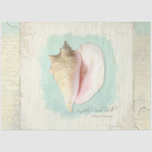 Beach Conch Sea Shell Blue Watercolor Decoupage Tissue Paper (Front)