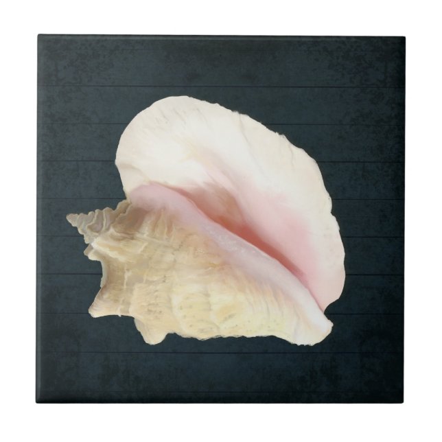 Beach Conch Seashell Coastal Shell Navy Blue Wood Ceramic Tile (Front)