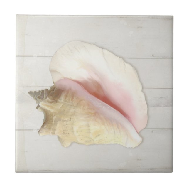 Beach Conch Seashell Coastal Shell White Wood Ceramic Tile (Front)
