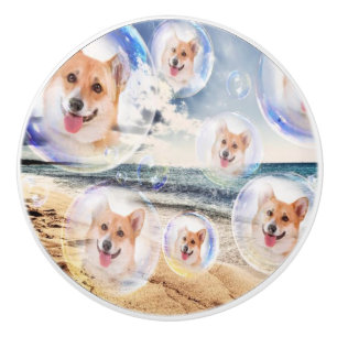 Beach Corgis Ceramic Knob